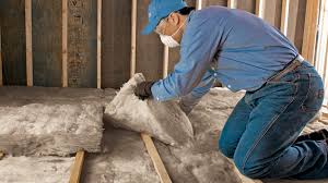 Best Spray Foam Insulation  in Louisa, VA